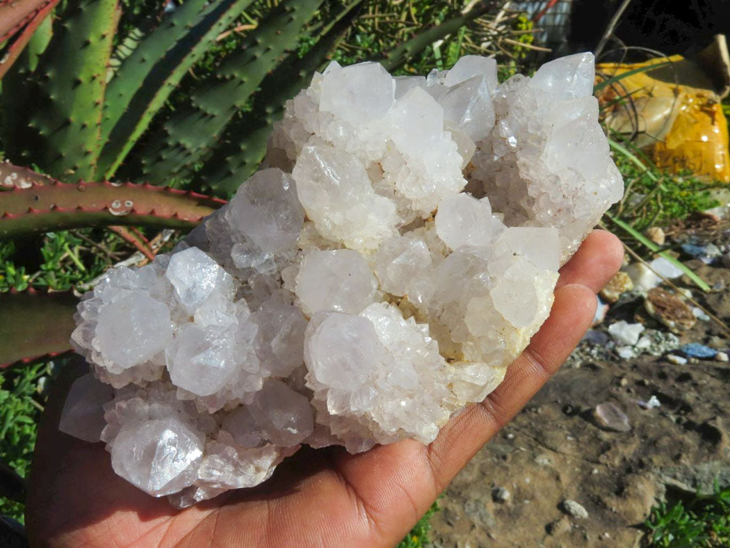 Natural Drusy Coated Unique Spirit Quartz In Cactus Flower & Fairy Finger Drusy Formations x 2 From Boekenhouthoek, South Africa - TopRock