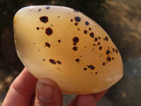 Polished Agate Standing Free Forms x 6 From Madagascar - Toprock Gemstones and Minerals