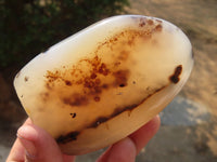 Polished Agate Standing Free Forms x 6 From Madagascar - Toprock Gemstones and Minerals