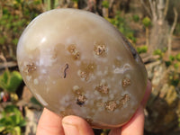 Polished Agate Standing Free Forms x 6 From Madagascar - Toprock Gemstones and Minerals
