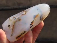 Polished Agate Standing Free Forms x 6 From Madagascar - Toprock Gemstones and Minerals