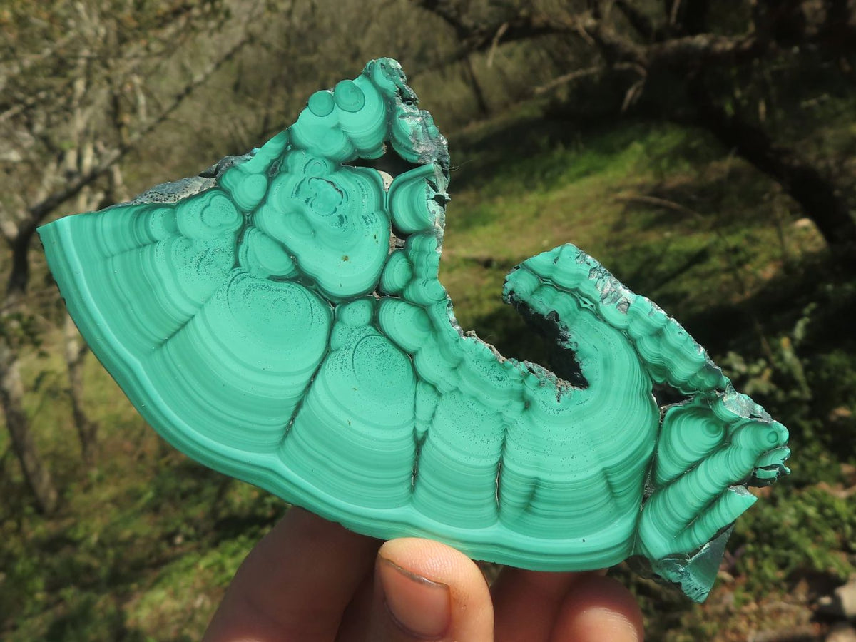 Polished Malachite Slices With Gorgeous Flower / Banding Patterns x 4 From Southern Africa - TopRock