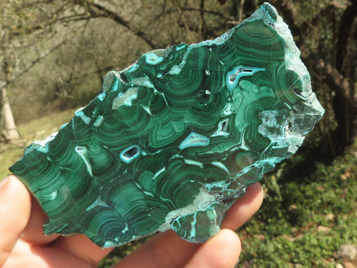 Polished Malachite Slices With Gorgeous Flower / Banding Patterns x 4 From Southern Africa - TopRock