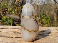 Polished Agate Standing Free Forms x 6 From Madagascar - Toprock Gemstones and Minerals