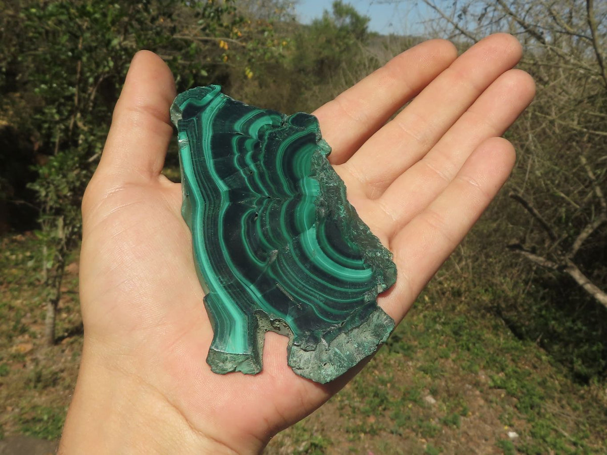Polished Malachite Slices With Gorgeous Flower / Banding Patterns x 4 From Southern Africa - TopRock