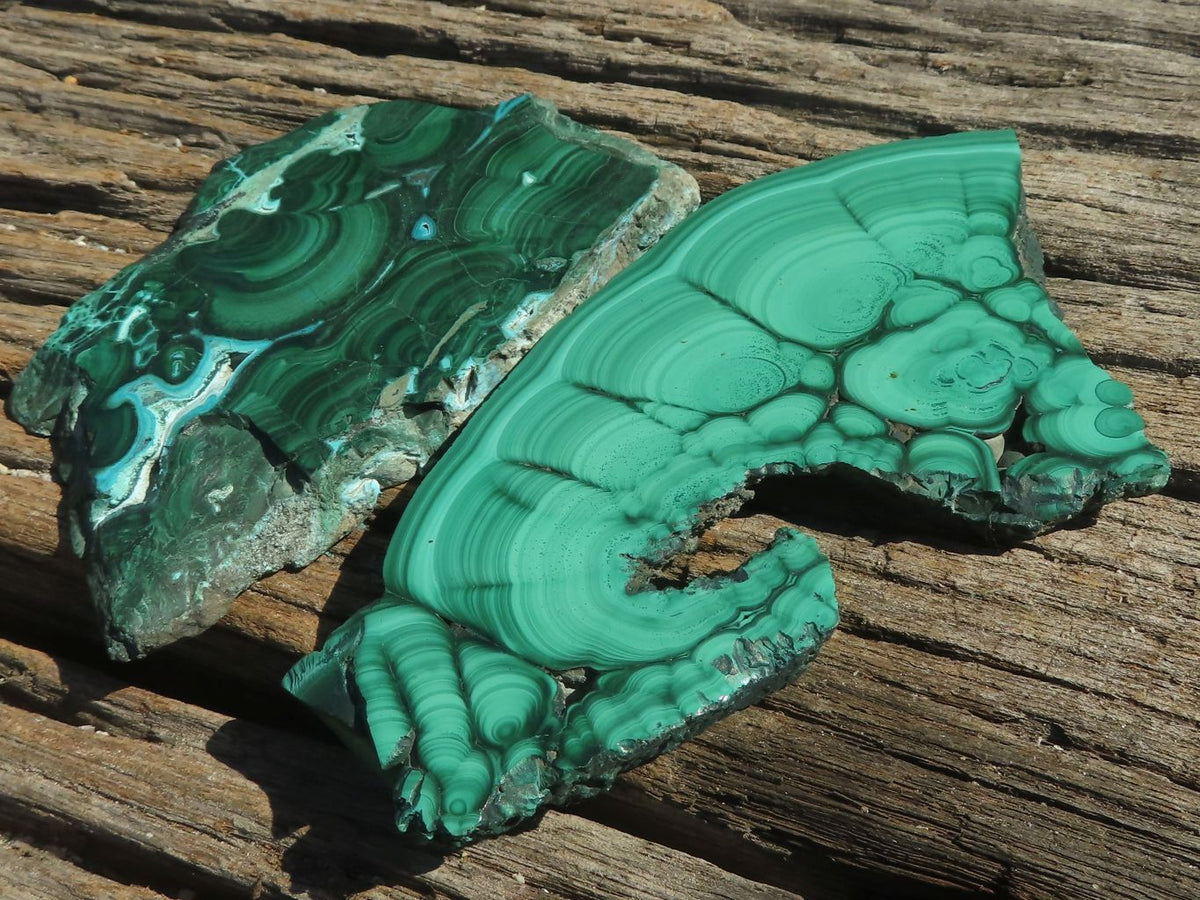 Polished Malachite Slices With Gorgeous Flower / Banding Patterns x 4 From Southern Africa - TopRock