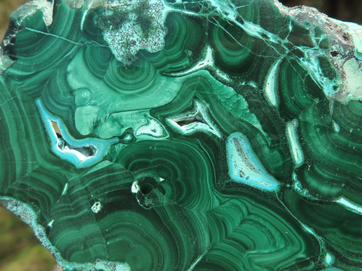 Polished Malachite Slices With Gorgeous Flower / Banding Patterns x 4 From Southern Africa - TopRock