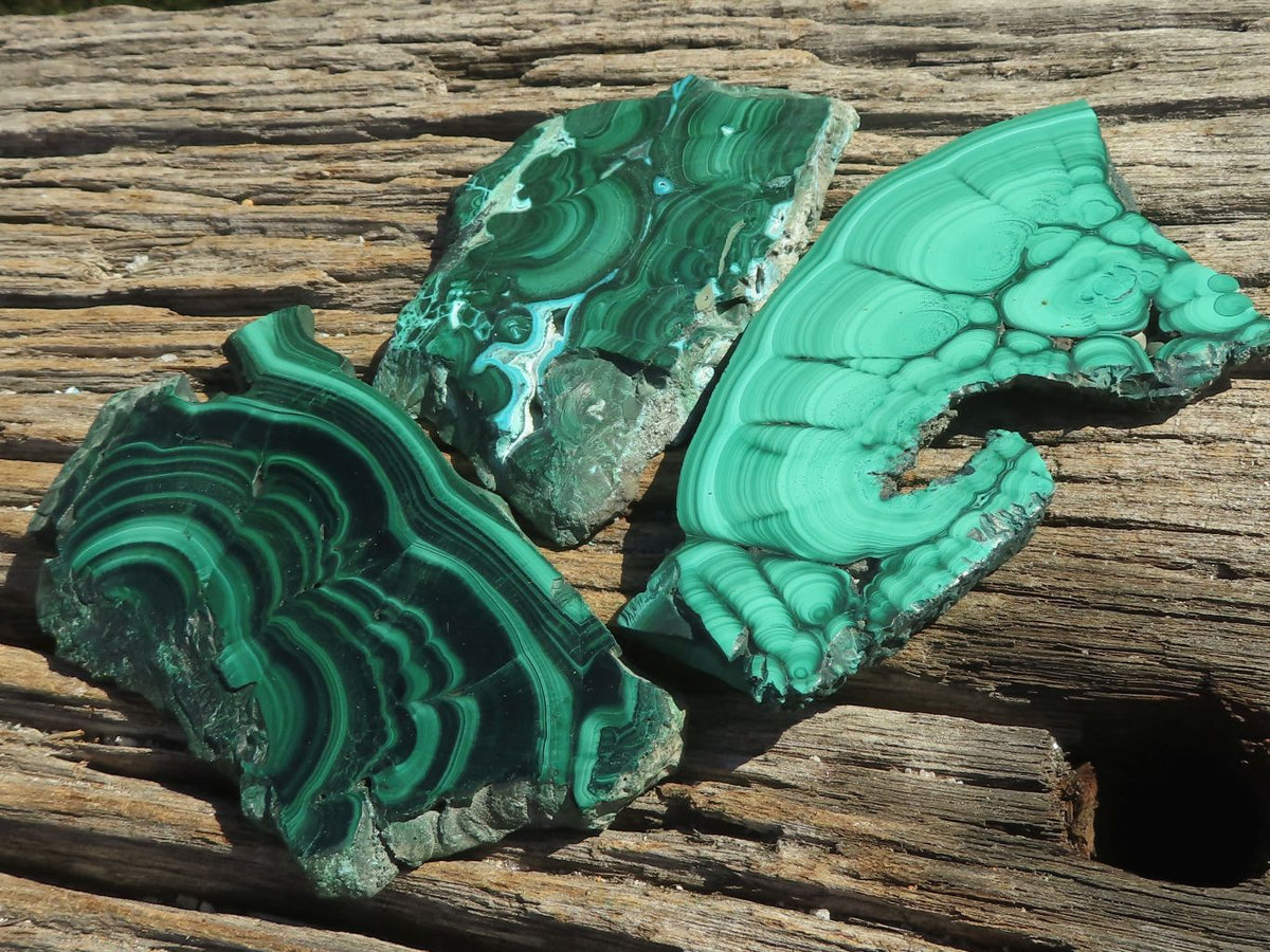Polished Malachite Slices With Gorgeous Flower / Banding Patterns x 4 From Southern Africa - TopRock