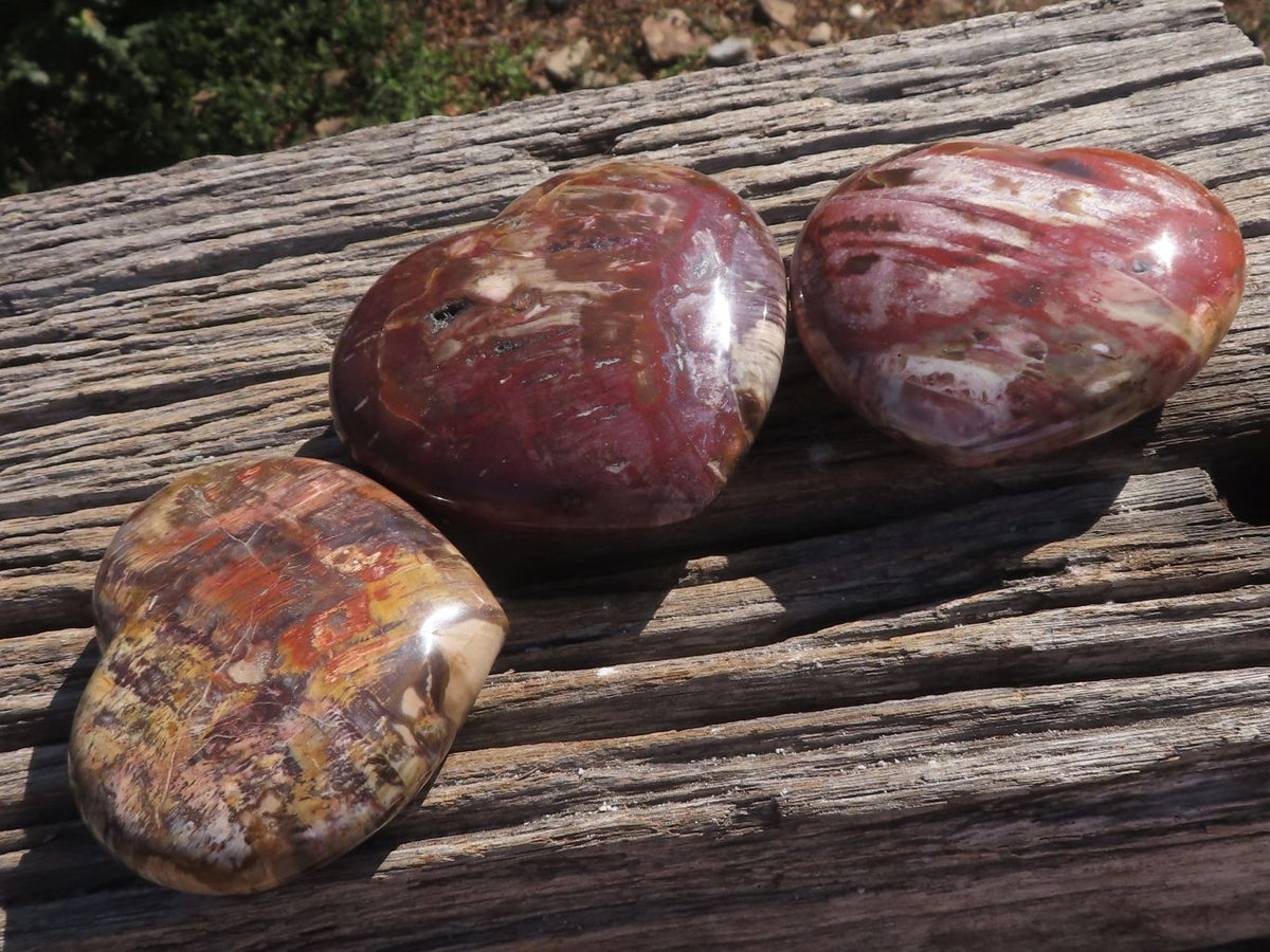 Polished Trio Of Petrified Red Podocarpus Wood Hearts x 3 From Mahajanga, Madagascar - TopRock