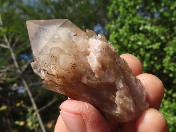 Natural Cascading White Phantom Quartz Crystals  x 20 From Luena, Congo - Toprock Gemstones and Minerals 