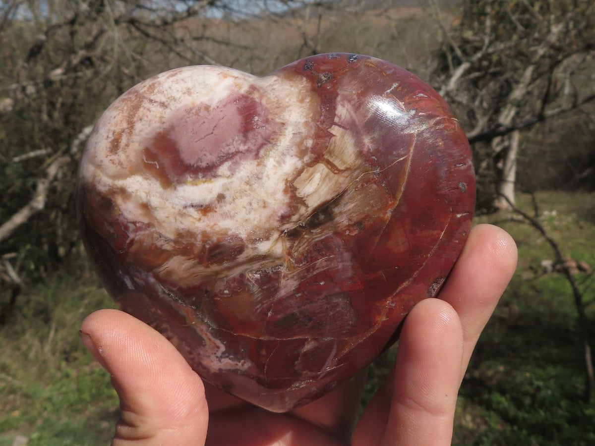 Polished Trio Of Petrified Red Podocarpus Wood Hearts x 3 From Mahajanga, Madagascar - TopRock