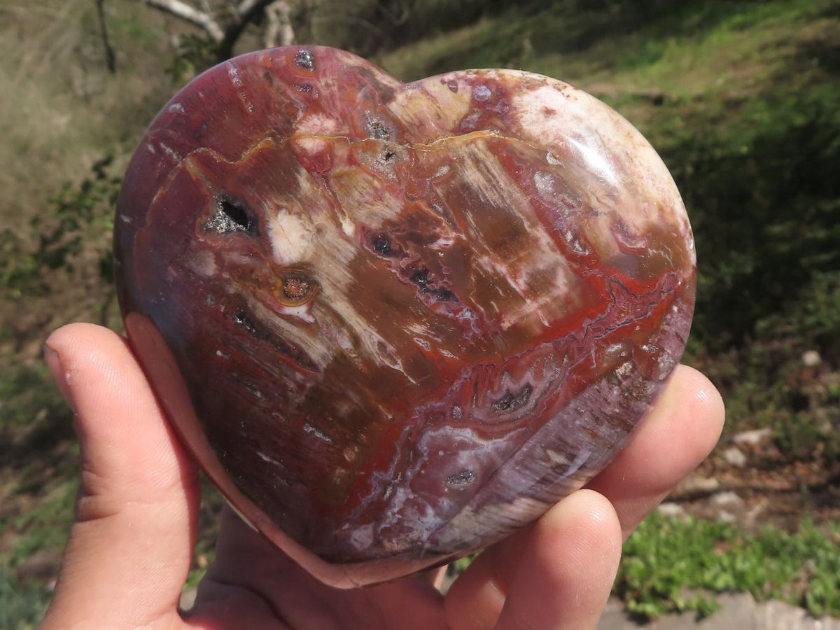 Polished Trio Of Petrified Red Podocarpus Wood Hearts x 3 From Mahajanga, Madagascar - TopRock