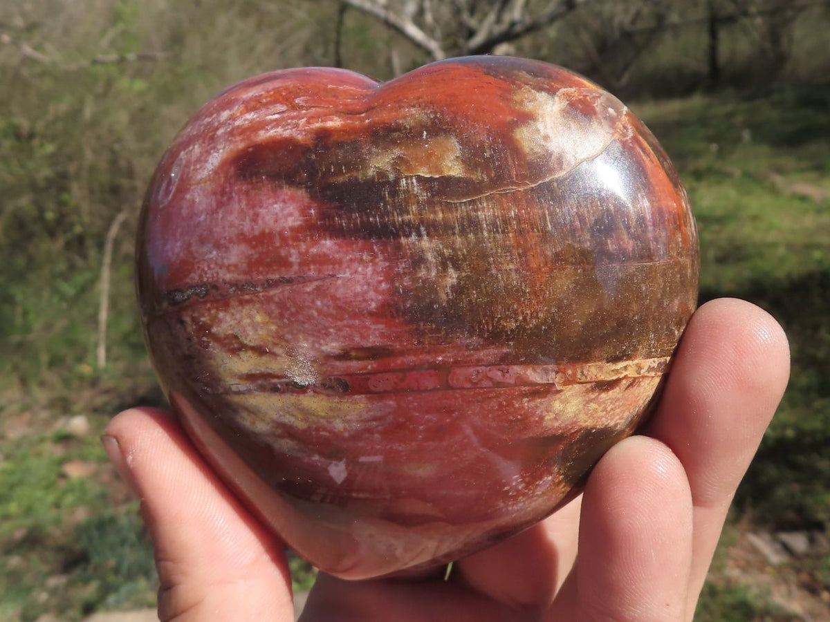 Polished Trio Of Petrified Red Podocarpus Wood Hearts x 3 From Mahajanga, Madagascar - TopRock