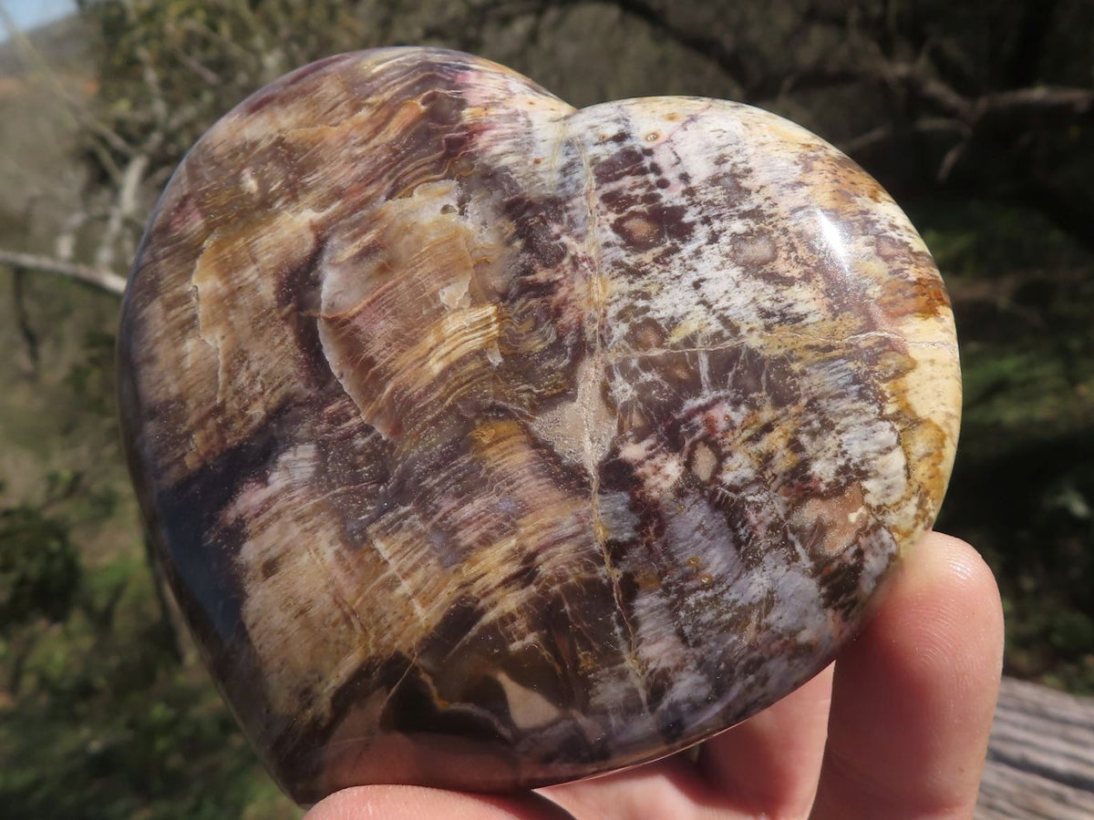 Polished Trio Of Petrified Red Podocarpus Wood Hearts x 3 From Mahajanga, Madagascar - TopRock