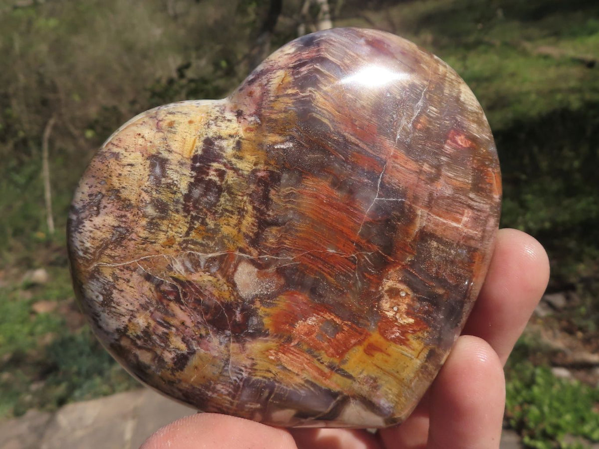 Polished Trio Of Petrified Red Podocarpus Wood Hearts x 3 From Mahajanga, Madagascar - TopRock