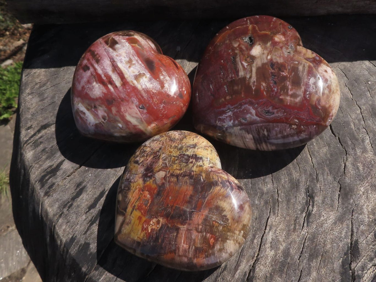 Polished Trio Of Petrified Red Podocarpus Wood Hearts x 3 From Mahajanga, Madagascar - TopRock