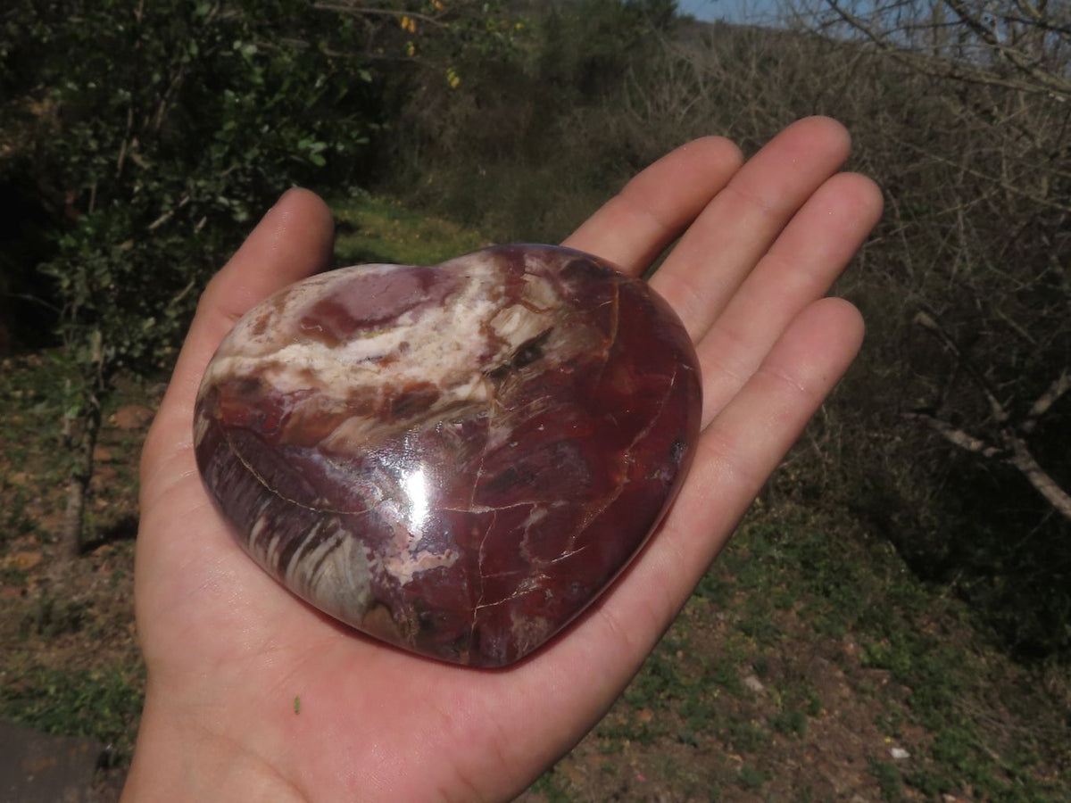 Polished Trio Of Petrified Red Podocarpus Wood Hearts x 3 From Mahajanga, Madagascar - TopRock