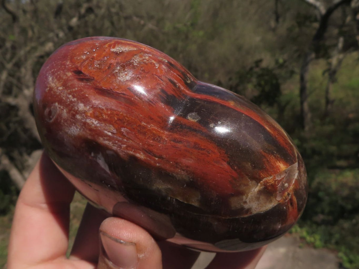 Polished Trio Of Petrified Red Podocarpus Wood Hearts x 3 From Mahajanga, Madagascar - TopRock