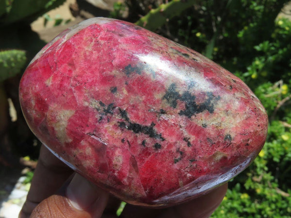 Polished Large Stunning Rhodonite Free Forms x 3 From Zimbabwe - TopRock