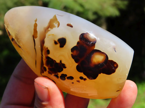 Polished Dendritic Agate Standing Free Forms x 6 From Moralambo, Madagascar - TopRock