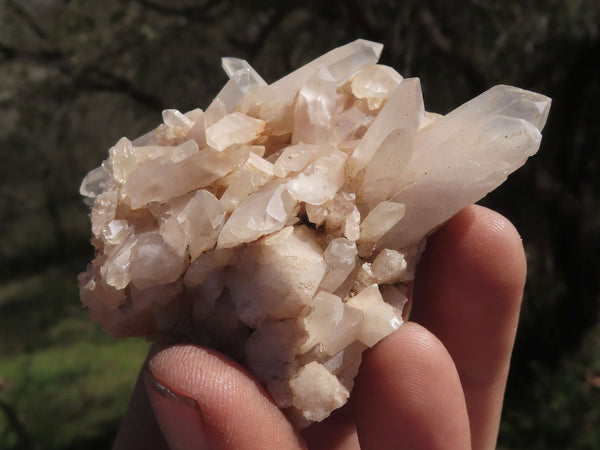 Natural Small Quartz Clusters With Nice Clear Crystals  x 24 From Mandrosonoro, Madagascar - TopRock