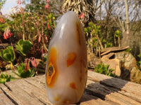 Polished Groovy Agate Standing Free Forms x 2 From Madagascar - Toprock Gemstones and Minerals