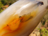 Polished Groovy Agate Standing Free Forms x 2 From Madagascar - Toprock Gemstones and Minerals