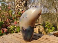 Polished Groovy Agate Standing Free Forms x 2 From Madagascar - Toprock Gemstones and Minerals