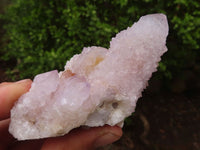 Natural Pale Spirit Ametrine Quartz Clusters  x 6 From Boekenhouthoek, South Africa - Toprock Gemstones and Minerals