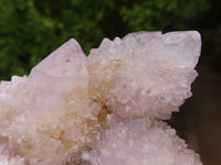 Natural Pale Spirit Ametrine Quartz Clusters  x 6 From Boekenhouthoek, South Africa - Toprock Gemstones and Minerals