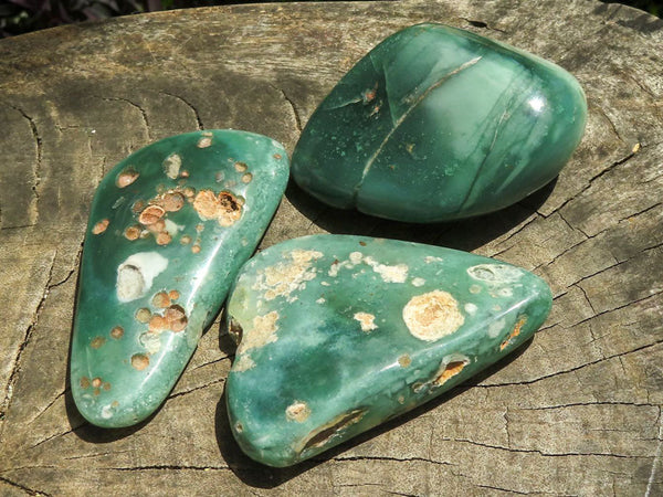 Polished Emerald Mtorolite / Chrome Chrysoprase Plates x 7 From Mutorashanga, Zimbabwe - TopRock