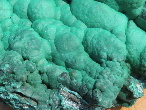 Natural Extra Large Botryoidal Malachite With Chrysocolla x 1 From Congo - TopRock
