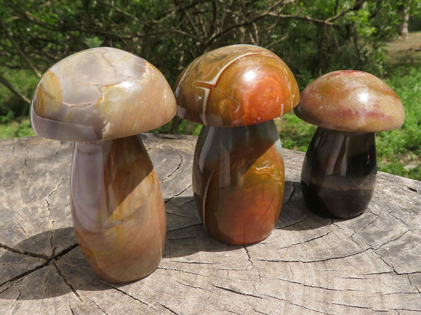 Polished Polychrome / Picasso Jasper Mushrooms  x 6 From Mahajanga, Madagascar - TopRock