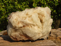 Natural Rare Large Bladed Barite Specimen x 1 From Congo - Toprock Gemstones and Minerals
