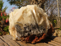 Natural Rare Large Bladed Barite Specimen x 1 From Congo - Toprock Gemstones and Minerals