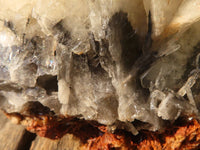 Natural Rare Large Bladed Barite Specimen x 1 From Congo - Toprock Gemstones and Minerals