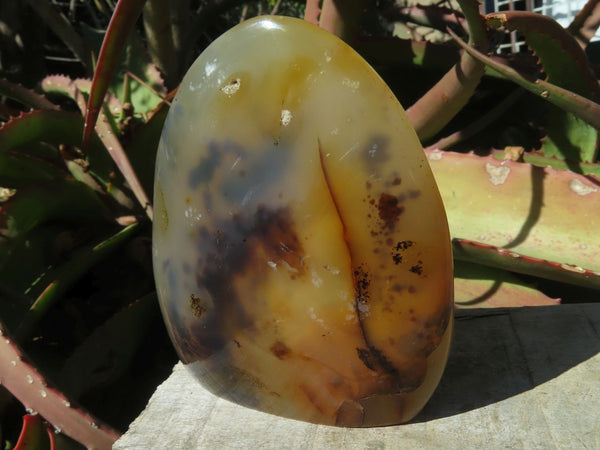 Polished Dendritic Agate Standing Free Forms x 6 From Madagascar - TopRock