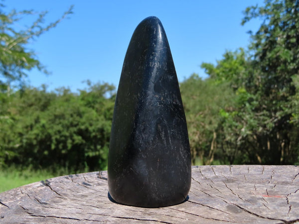 Polished Black Tourmaline Standing Free Form x 1 From Madagascar - TopRock