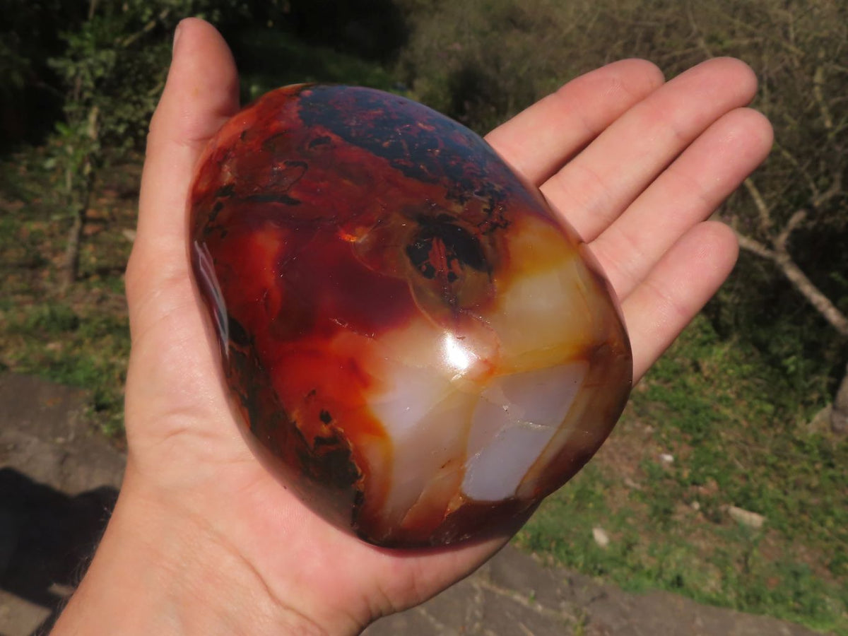 Polished Trio Of Contrasting Carnelian Agate Standing Free Forms x 3 From Madagascar - TopRock