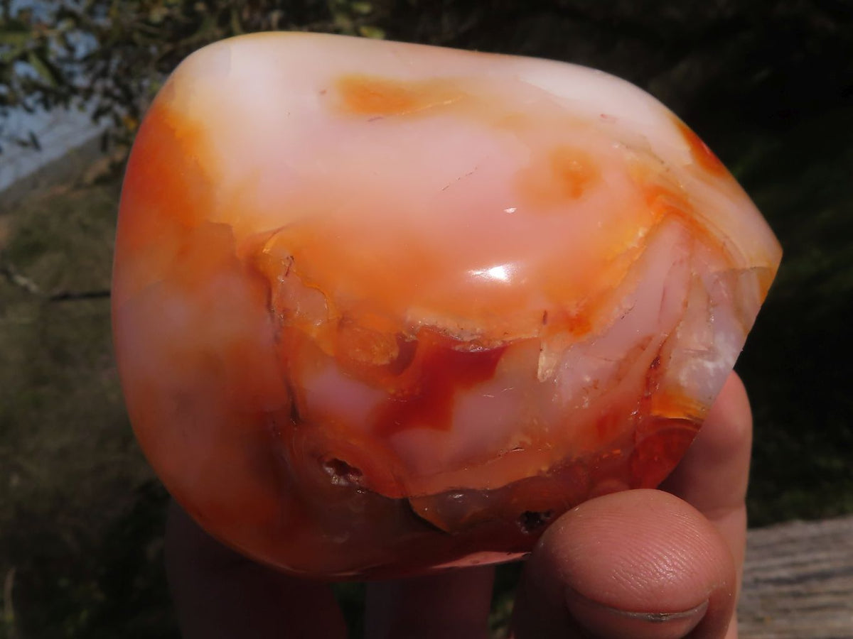Polished Trio Of Contrasting Carnelian Agate Standing Free Forms x 3 From Madagascar - TopRock