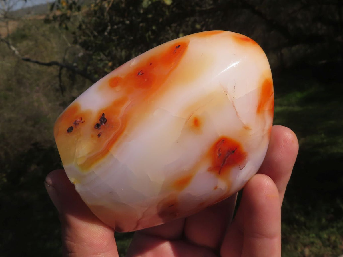 Polished Trio Of Contrasting Carnelian Agate Standing Free Forms x 3 From Madagascar - TopRock