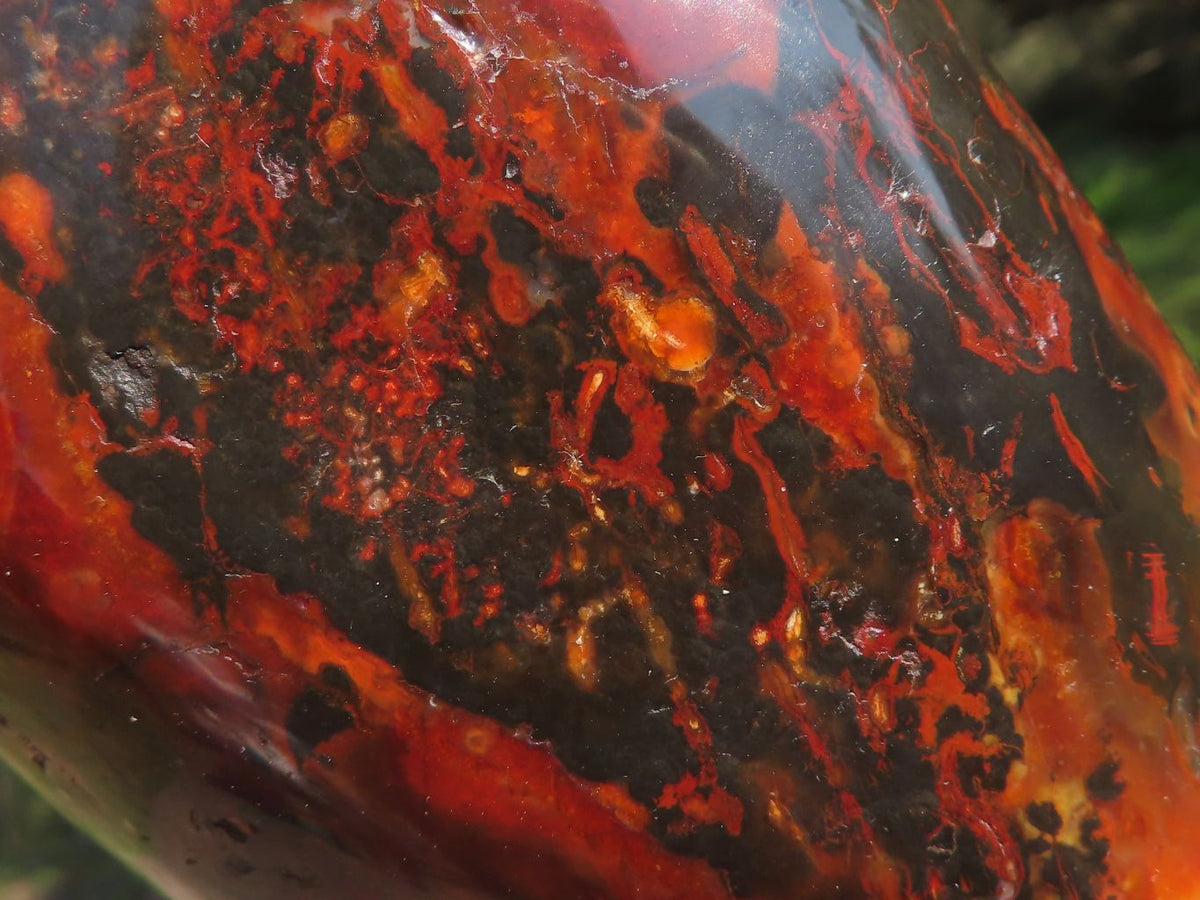 Polished Trio Of Contrasting Carnelian Agate Standing Free Forms x 3 From Madagascar - TopRock