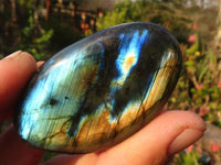Polished  Flashy Labradorite Palm Stones  x 12 From Tulear, Madagascar - Toprock Gemstones and Minerals