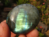 Polished  Flashy Labradorite Palm Stones  x 12 From Tulear, Madagascar - Toprock Gemstones and Minerals