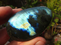 Polished  Flashy Labradorite Palm Stones  x 12 From Tulear, Madagascar - Toprock Gemstones and Minerals