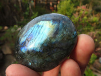 Polished  Flashy Labradorite Palm Stones  x 12 From Tulear, Madagascar - Toprock Gemstones and Minerals
