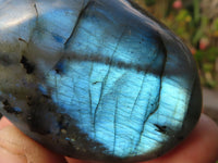 Polished  Flashy Labradorite Palm Stones  x 12 From Tulear, Madagascar - Toprock Gemstones and Minerals