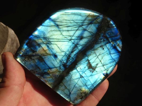 Polished Flashy Labradorite Standing Free Forms x 3 From Tulear, Madagascar - Toprock Gemstones and Minerals 