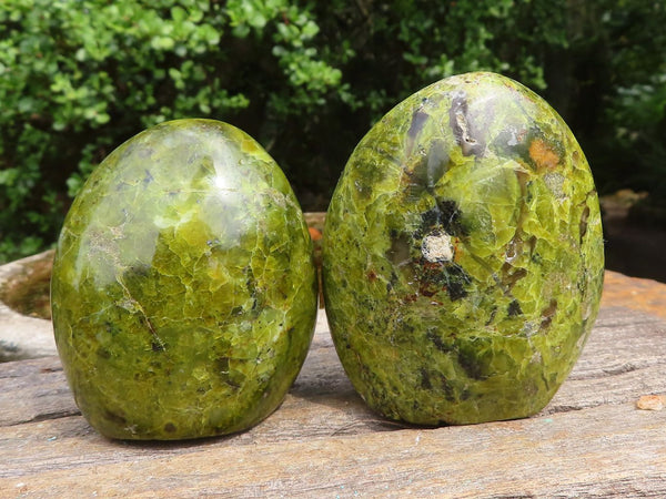 Polished Small Green Opal Standing Free Forms  x 6 From Madagascar - Toprock Gemstones and Minerals 