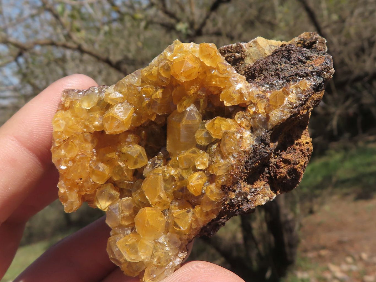 Natural Small Golden Limonite / Lemonite Quartz Clusters x 24 From Solwezi, Zambia - TopRock